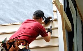 Best Custom Trim and Detailing for Siding  in Roscoe, IL